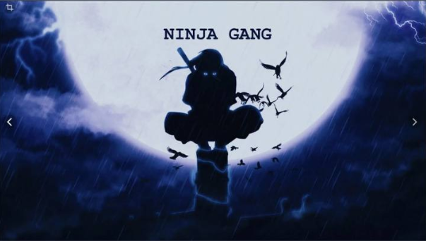 Ninja Gang TEAM logo